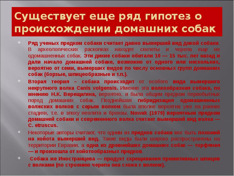 Существует еще ряд гипотез о происхождении домашних собак
Ряд ученых предком Существует еще ряд гипотез о происхождении домашних собак
Ряд ученых предком