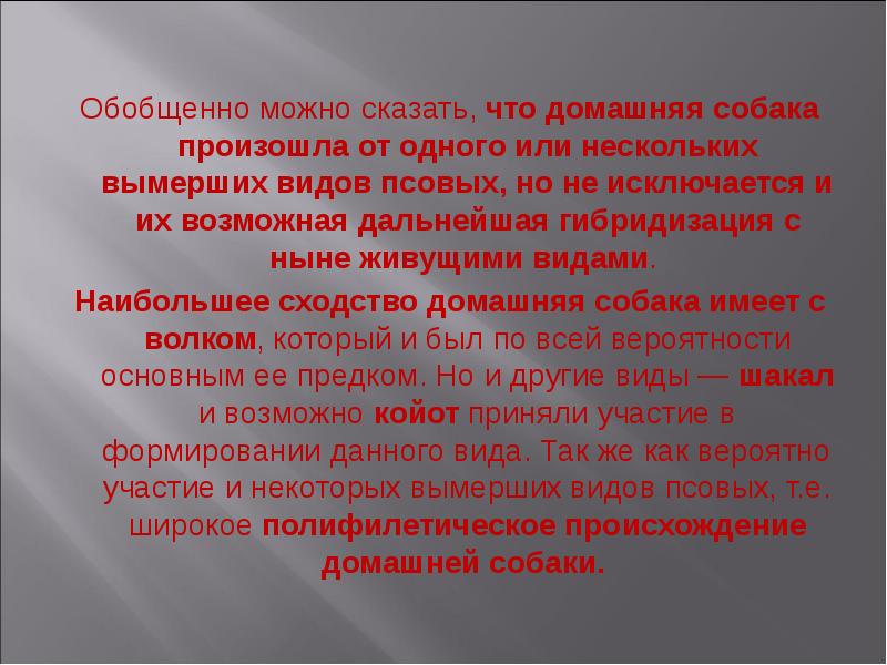 Обобщенно можно сказать, что домашняя собака произошла от одного или нескольких Обобщенно можно сказать, что домашняя собака произошла от одного или нескольких