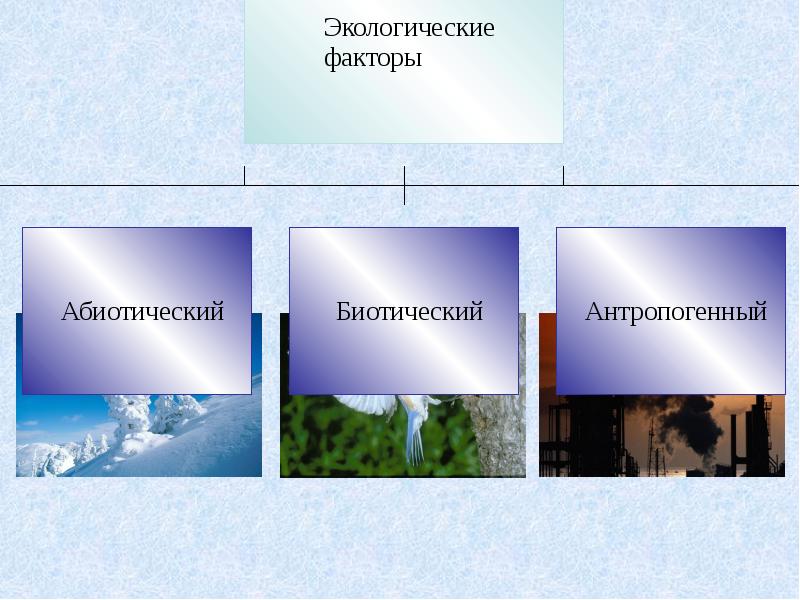 Фактор 9. Экологические факторы 9 класс. Факторы жизни на земле. Среды жизни и экологические факторы 9 класс. Среды жизни и экологические факторы 9 класс видеоурок.