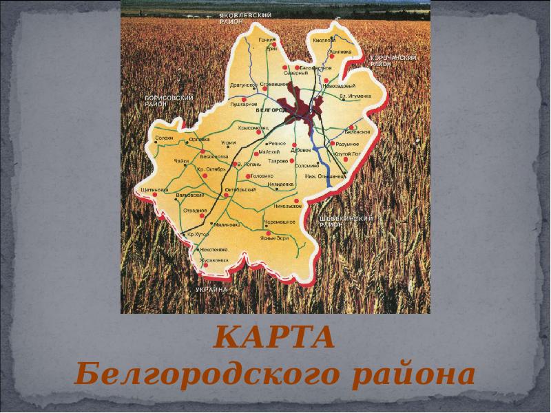 Карта белгородских сел. Белгородский район на карте Белгородской области. Белгородский район карта с поселениями. Карта Белгородского района. Карта Белгородского района Белгородской.