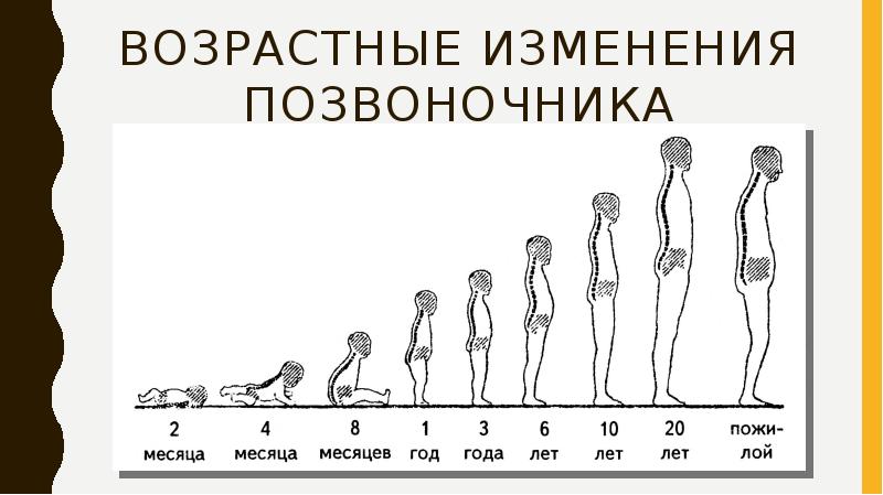 Рассмотрите рисунок иллюстрирующий проявление возрастных изменений человека как