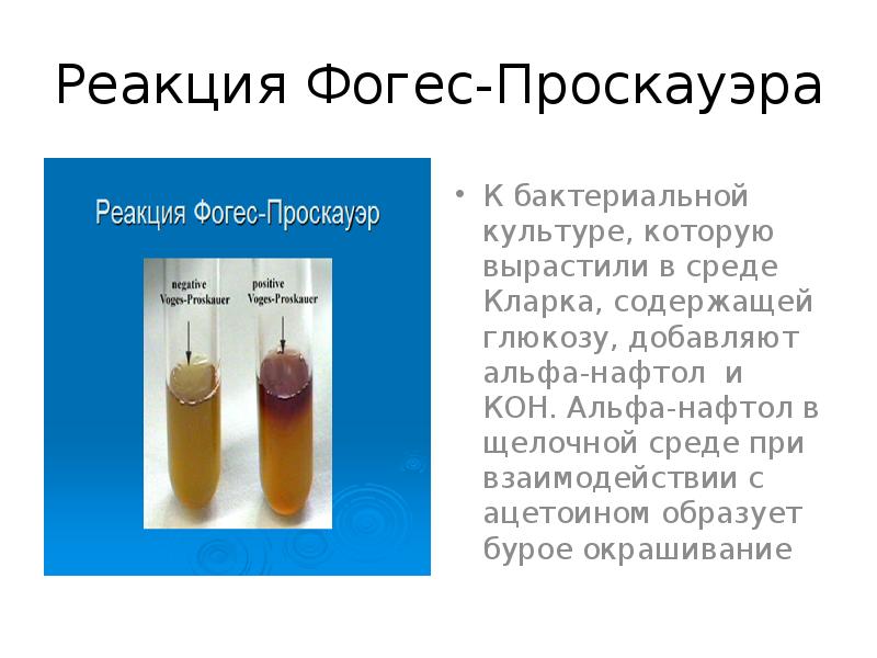 Бульон фогес-проскауэра с метиловым красным