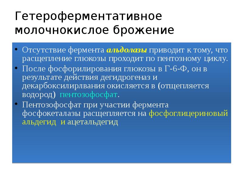 Гетероферментативное молочнокислое брожение
Отсутствие фермента альдолазы приводит к тому, что расщепление Гетероферментативное молочнокислое брожение
Отсутствие фермента альдолазы приводит к тому, что расщепление