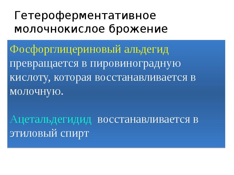 Гетероферментативное молочнокислое брожение Гетероферментативное молочнокислое брожение