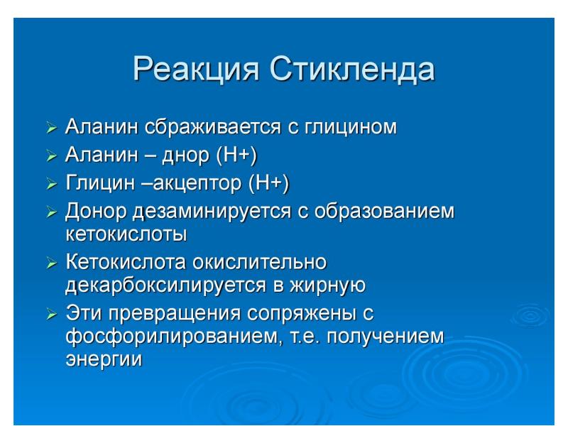 Ферментация белков Ферментация белков