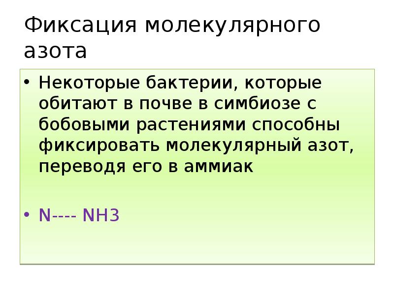Фиксация молекулярного азота
Некоторые бактерии, которые обитают в почве в симбиозе Фиксация молекулярного азота
Некоторые бактерии, которые обитают в почве в симбиозе