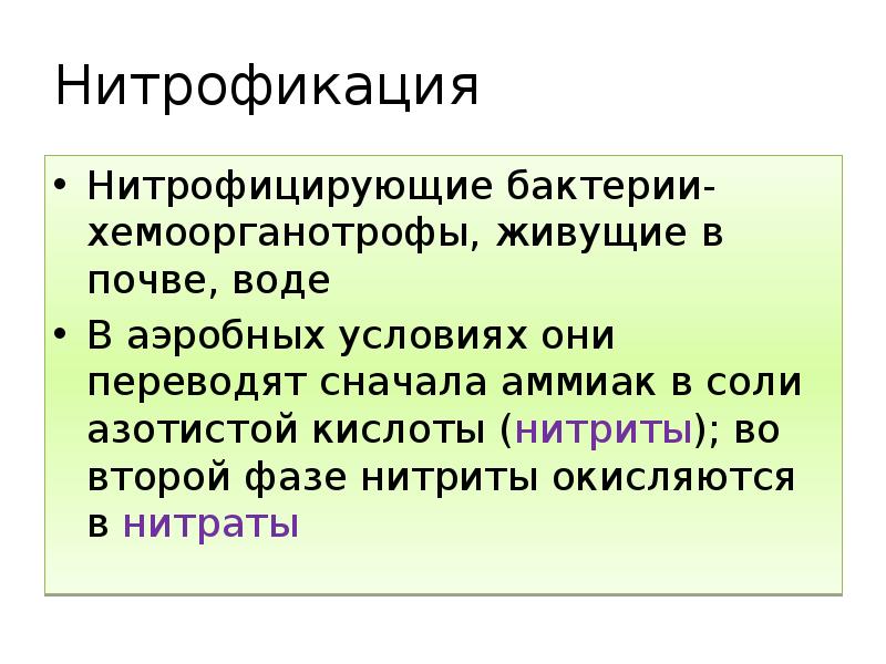 Нитрофикация
Нитрофицирующие бактерии-хемоорганотрофы, живущие в почве, воде
В аэробных условиях они Нитрофикация
Нитрофицирующие бактерии-хемоорганотрофы, живущие в почве, воде
В аэробных условиях они