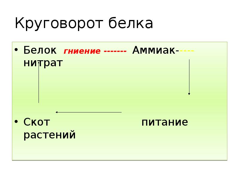 Круговорот белка
Белок гниение ------- Аммиак-----нитрат
Скот Круговорот белка
Белок гниение ------- Аммиак-----нитрат
Скот