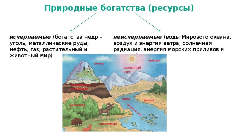 Физическая обусловленность их природы презентация