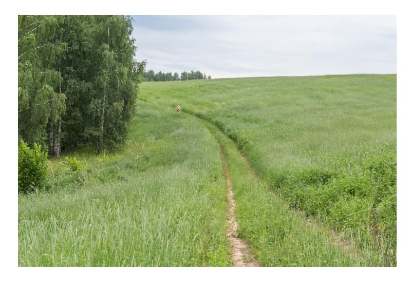 Окская тропа. Окская тропа ленточка обозначение.