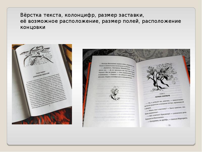 Красная полоса на синем фоне книга