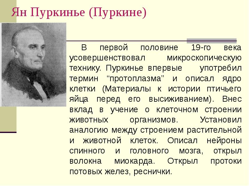 В каком году д снедзен впервые употребил термин метод проектов