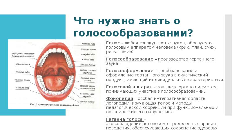 Презентация гигиена голоса