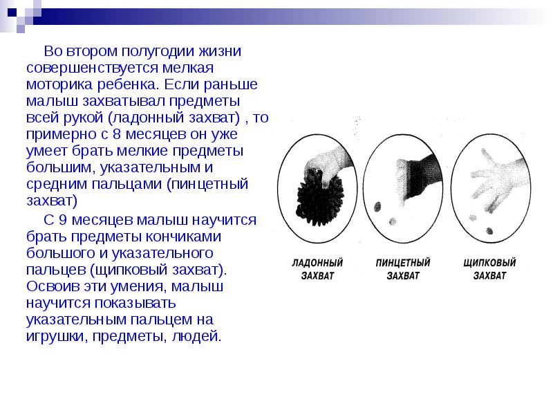 Основные показатели развития ребенка презентация