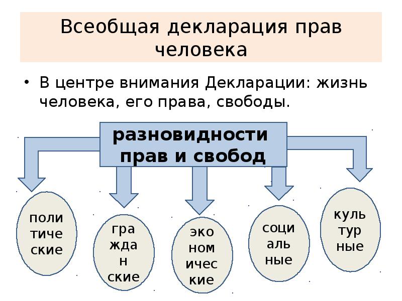 Проект декларации прав человека