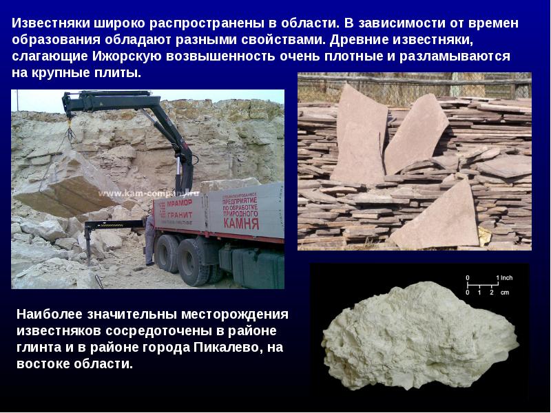 География ленинградской области презентация