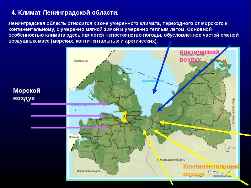 География ленинградской области презентация