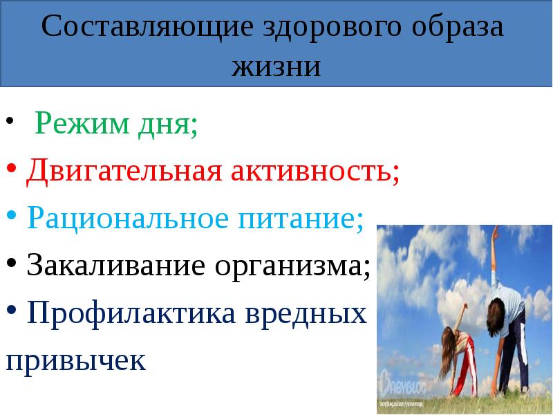 Обж 5 класс презентация двигательная активность и закаливание организма