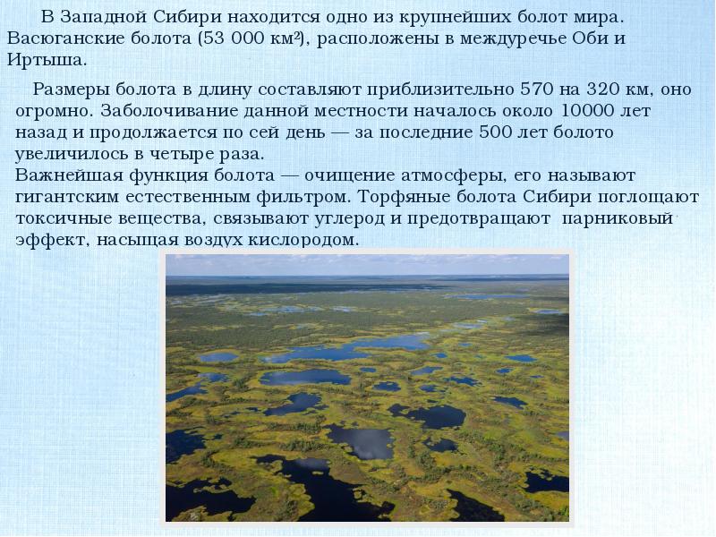 Где находится болотное. Большое Васюганское болото на карте России. Васюганские болота заповедник на карте. Васюганские болота Томская. Васюганские болота заповедник на карте России.