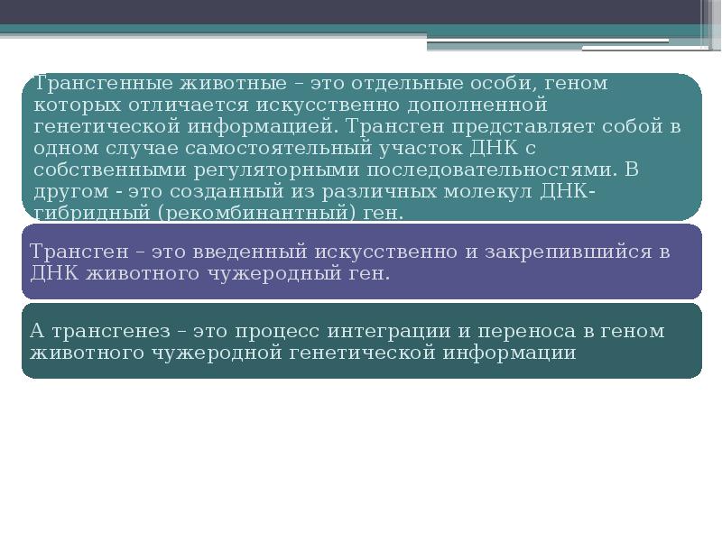 Трансгенные животные презентация