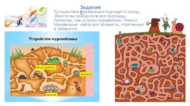 Презентация приключения муравьишки