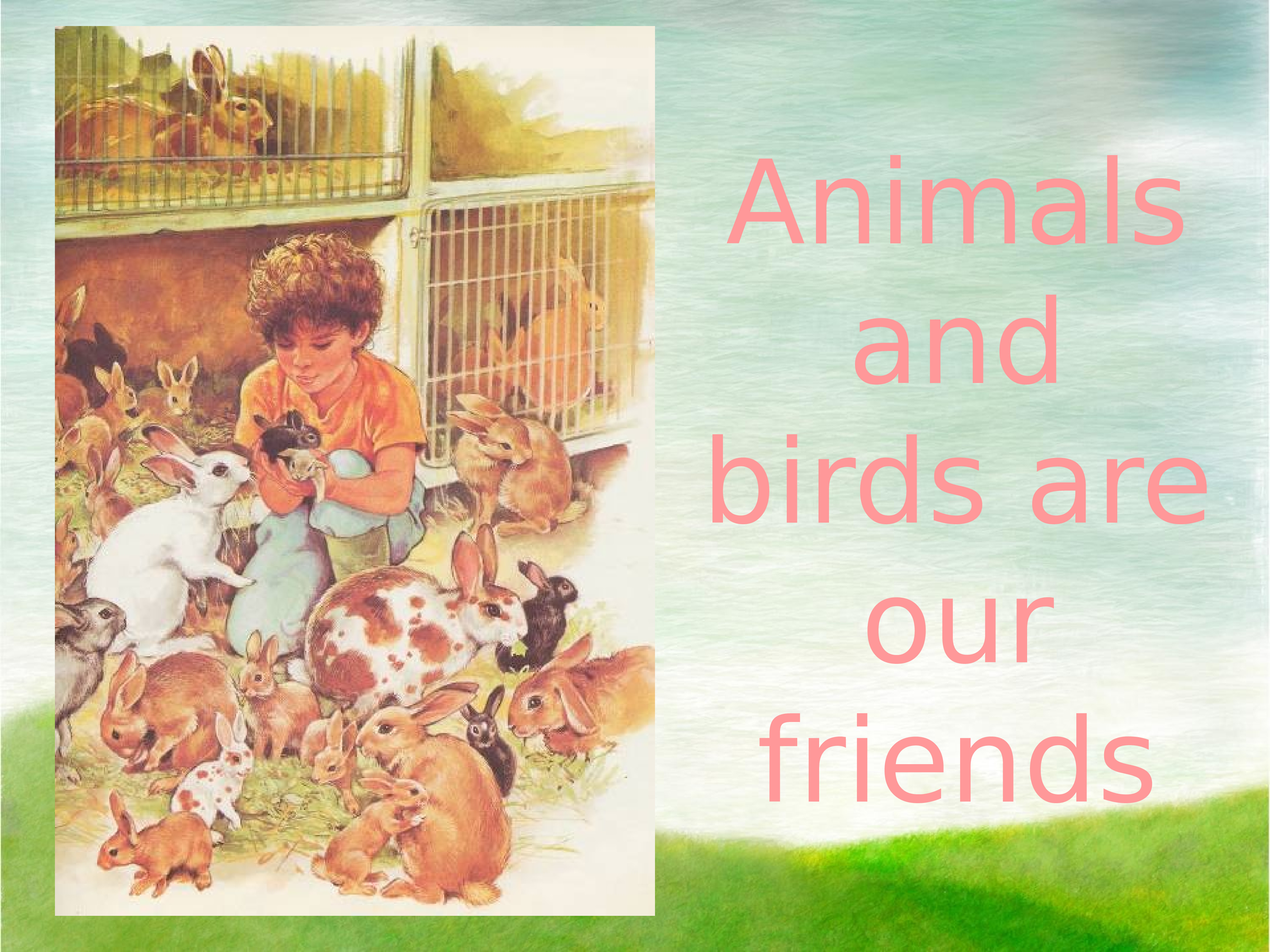 Our friend. Animals are our friends. Birds are our friends. Animals френдс. Our animal friends.