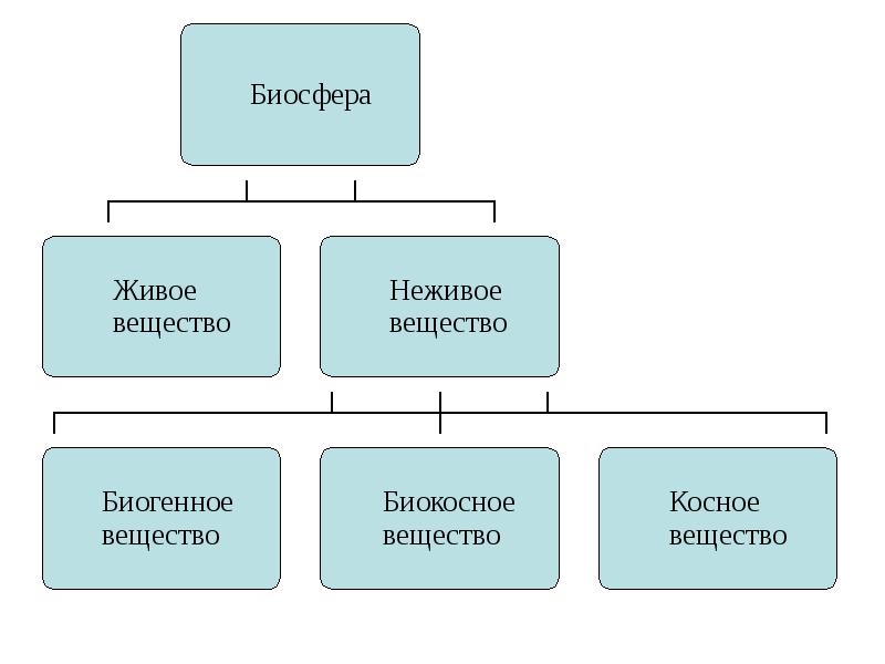 Учения о живом веществе. Схема живых веществ в биосфере. Структура биосферы по Вернадскому схема. Живое биогенное косное биокосное. Биосфера живое вещество косное вещество биокосное вещество.