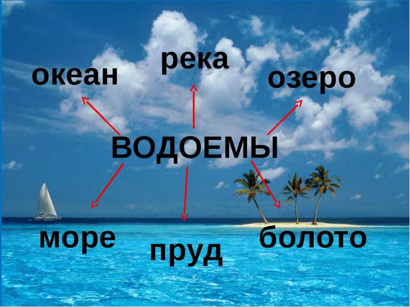 Моря и океаны презентация 5 кл 8 вид