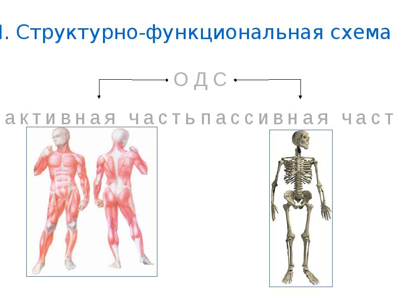 Средства массовой информации выполняют многообразные функции составьте план текста