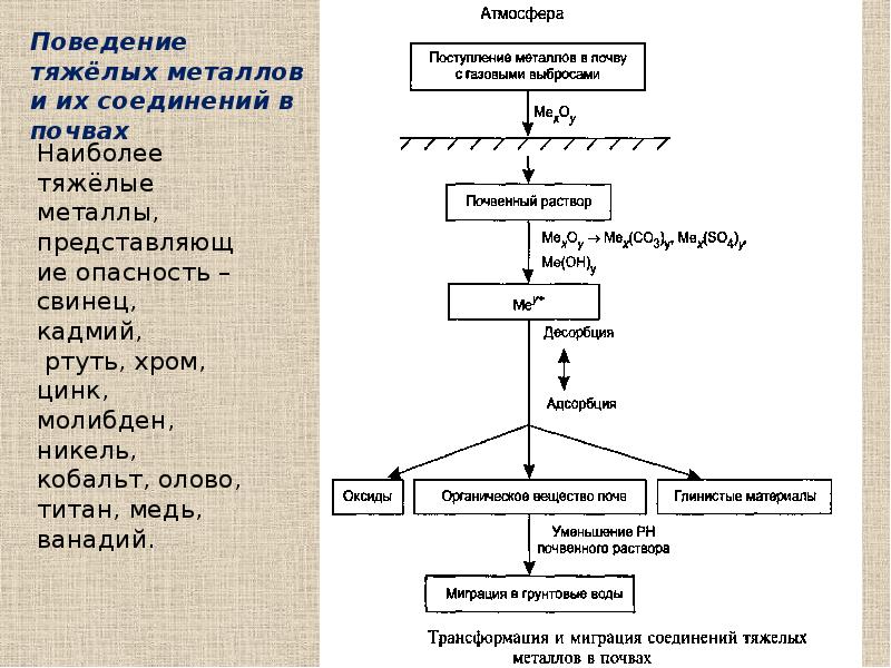 Металлы в почве. Диаграммы тяжелые металлы в почве. Схема поступления тяжелых металлов в организм человека. Источники поступления тяжелых металлов в окружающую среду. Миграция тяжелых металлов в почвенном профиле.