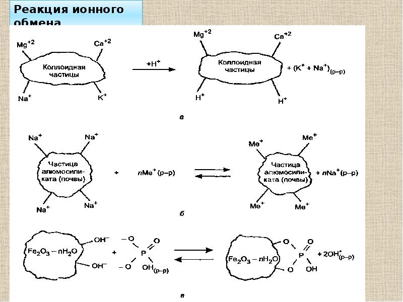 Ионная схема реакции. Схема обмена почвы. Ионный обмен. Ионный обмен схема. Ионный обмен в почве.
