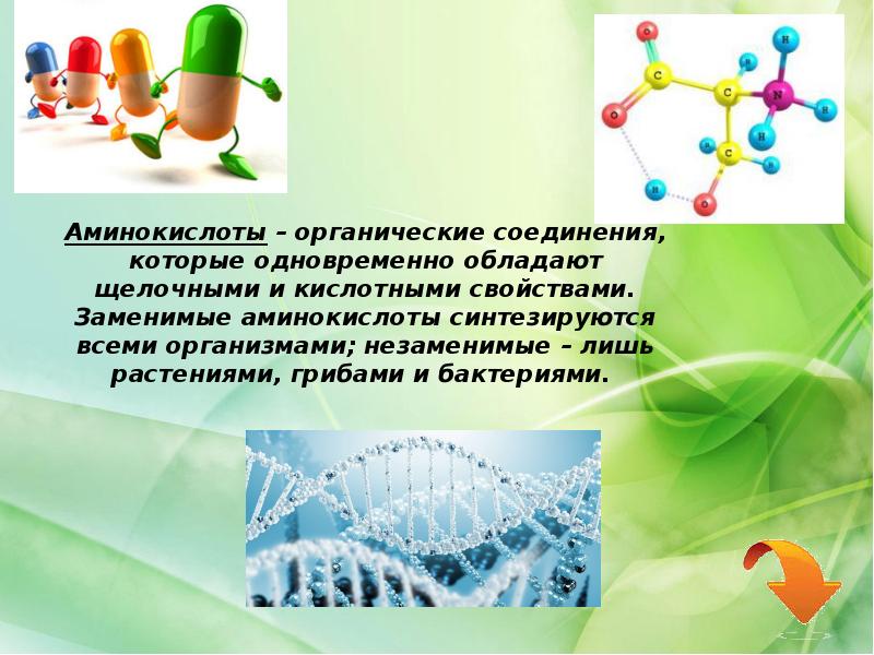 Органические вещества биология