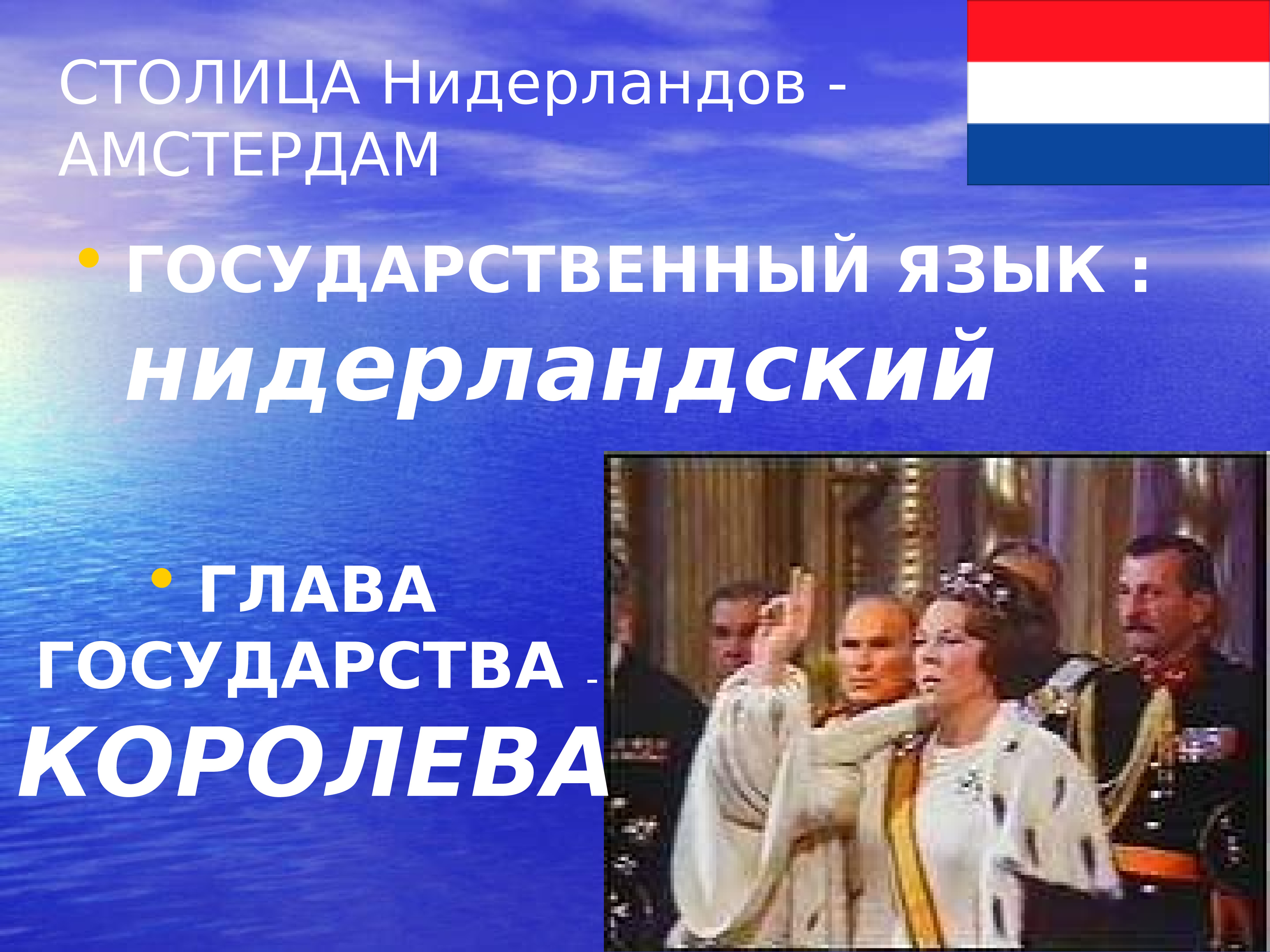 Языки нидерландов. Государственный язык голландии. Язык в голландии официальный язык. Государственный язык нидерландов. Глава государства амстердама.