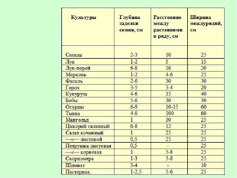 Юность весеннее время человека в которое засеваются семена на будущие годы жизни схема предложения