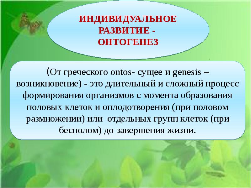 Индивидуальное развитие организма презентация 9 класс