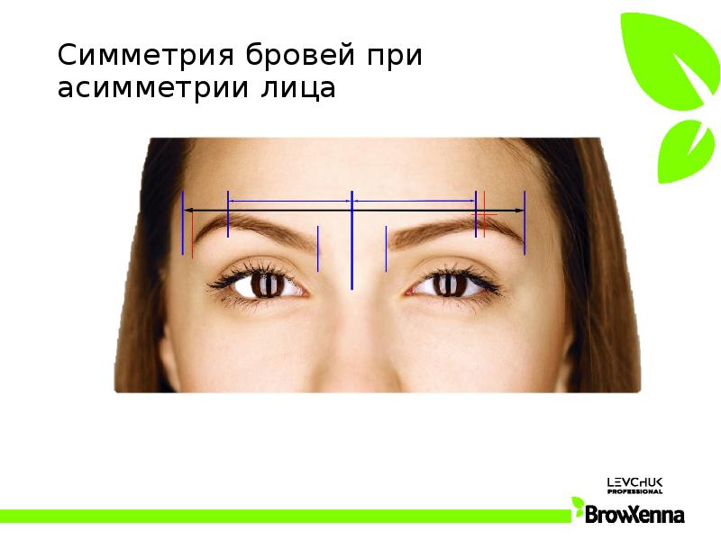 Золотое сечение лица кендалл дженнер. Правильная разметка бровей. Как сделать брови симметричными. Как сделать брови симметричными. Симметричные брови разметка.