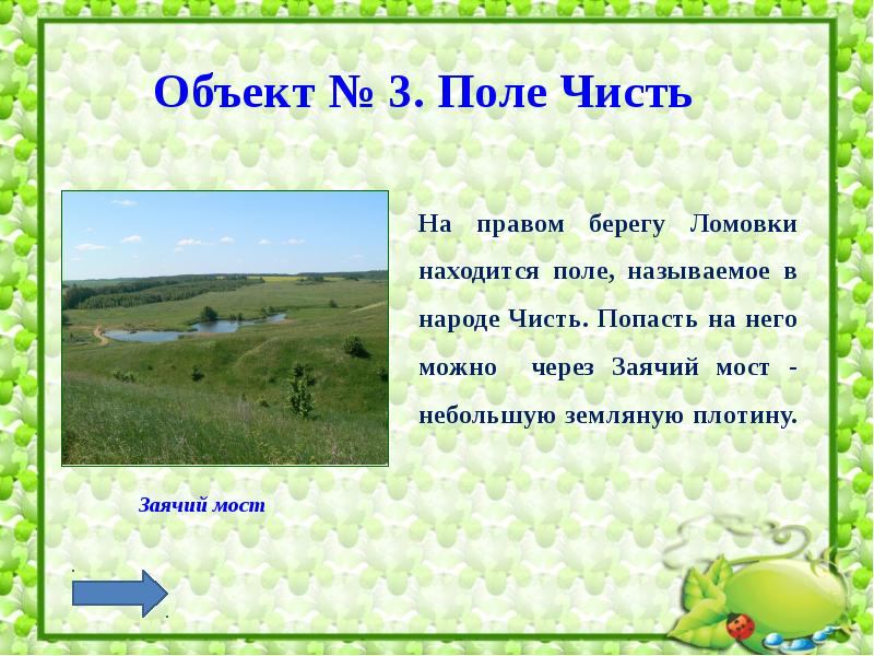 Структура это например. Природное сообщество поле. Название полей. Как можно назвать полю. Как можно назвать полю.