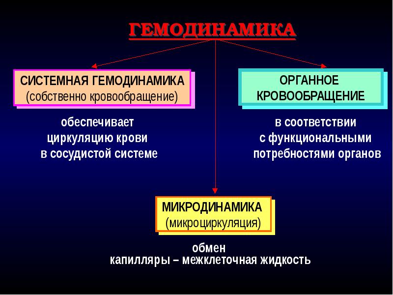 Презентация на тему регуляция дыхания