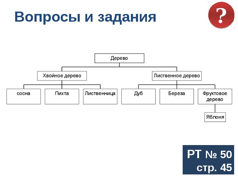 Виды объектов по вертикали