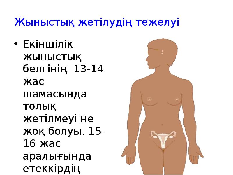 Жыныстық жетілудің тежелуі
Екіншілік жыныстық белгінің 13-14 жас шамасында толық жетілмеуі Жыныстық жетілудің тежелуі
Екіншілік жыныстық белгінің 13-14 жас шамасында толық жетілмеуі