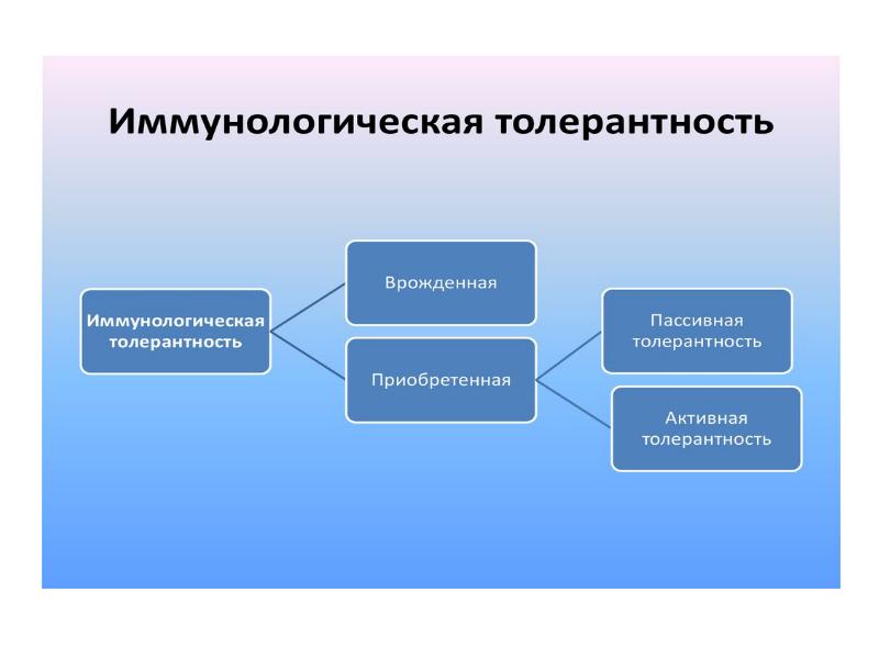 Иммунологическая толерантность. Иммунологическая толерантность презентация. Иммунологическая толерантность активная пассивная. Активная толерантность иммунология. Активная приобретенная толерантность.