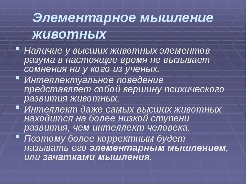 Элементарная мысль. Мышление животных. Рассудочное мышление. Рассудочная деятельность картинки. Рассудочное поведение.