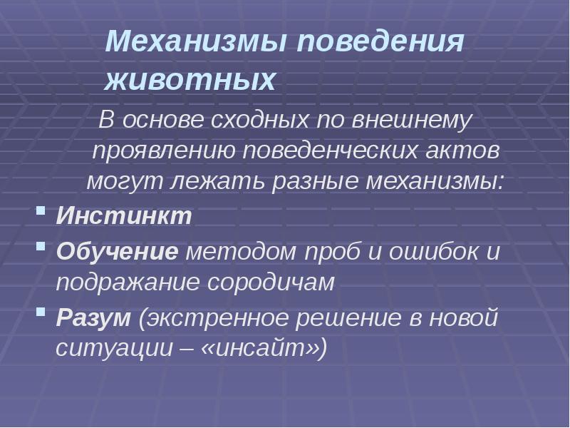 Механизмы поведения животных
В основе сходных по внешнему проявлению поведенческих Механизмы поведения животных
В основе сходных по внешнему проявлению поведенческих