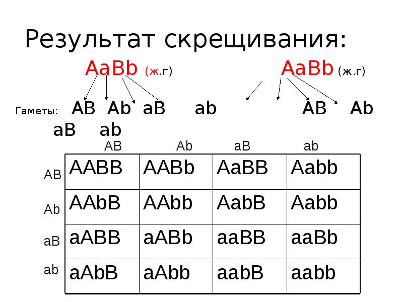 Схема aabb x aabb