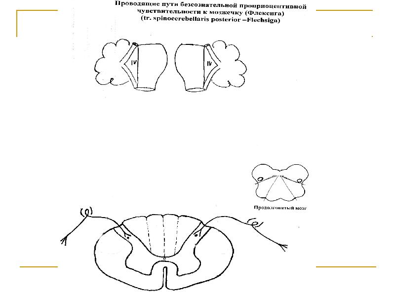 Проведи путь