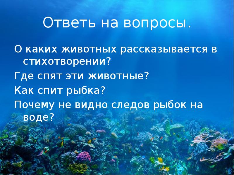 Текст описание подводного царства. Сема к стихотворению где спит рыбка.