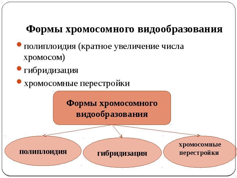 Презентация видообразование как результат эволюции