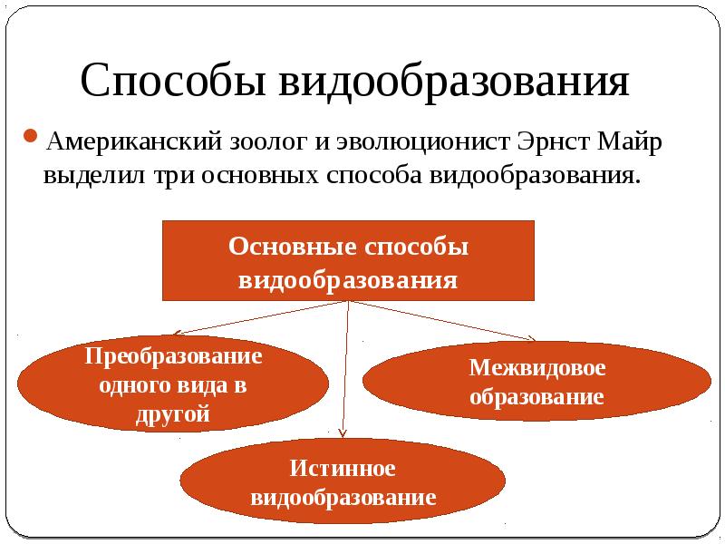 Видообразование как результат эволюции презентация 11 класс