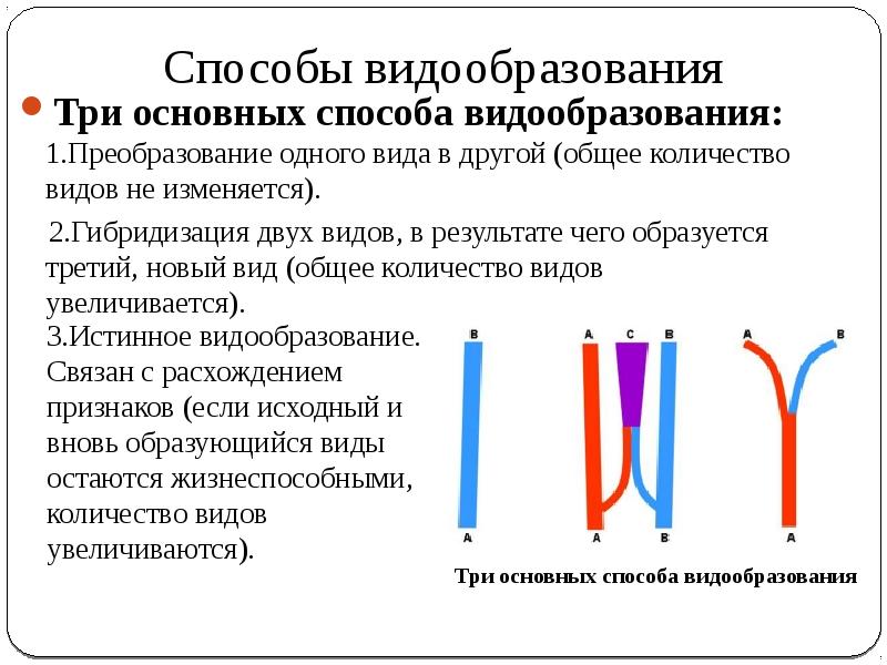 Видообразование биология 9 класс презентация пасечник