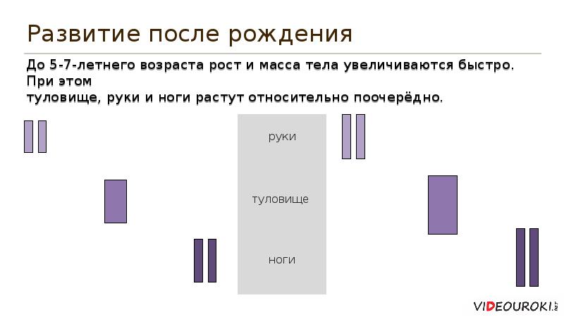 Развитие после рождения таблица